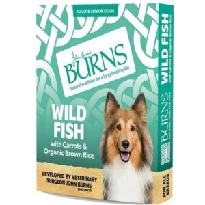 Burns Wild Fish with Carrots & Brown Rice Adult 150g Wet Dog Food