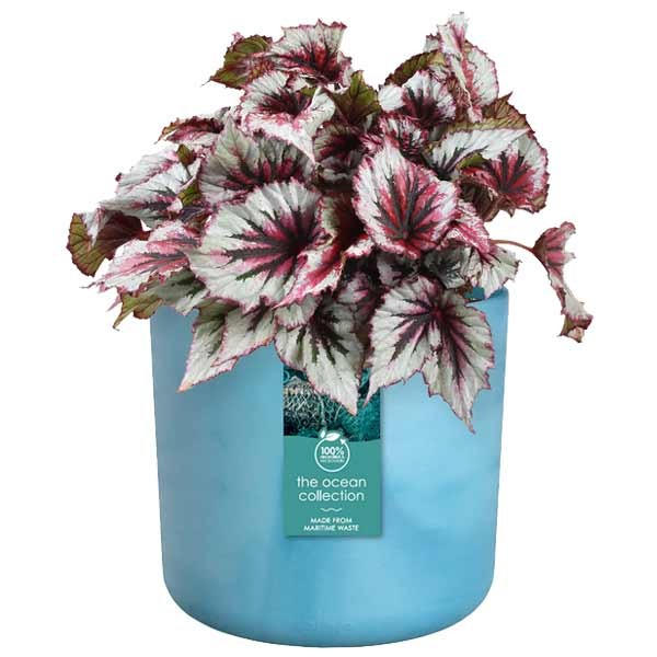 Elho The Ocean Collection Round Atlantic Blue 14cm Flower Pot 3 Elho The Ocean Collection Round Atlantic Blue 14cm Flower Pot - Image 3