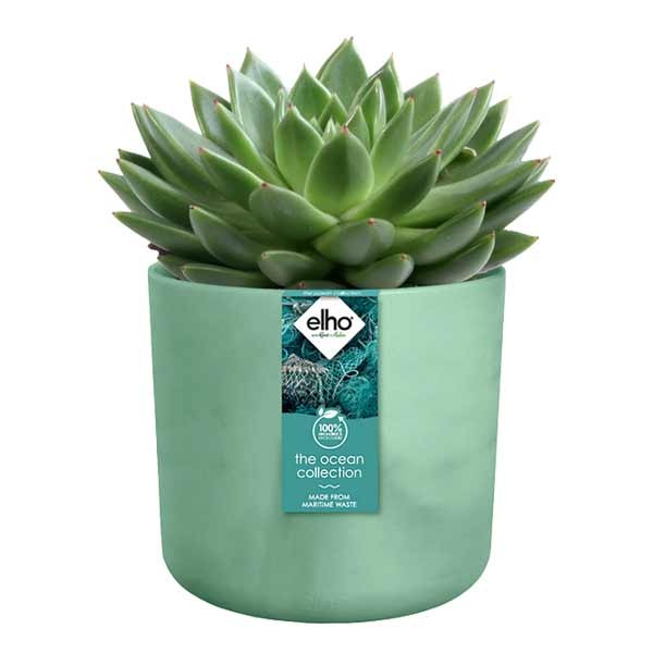 Elho The Ocean Collection Round Pacific Green 14cm Flower Pot 3 Elho The Ocean Collection Round Pacific Green 14cm Flower Pot - Image 3