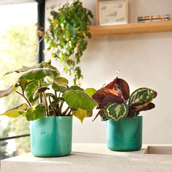 Elho The Ocean Collection Round Pacific Green 14cm Flower Pot 4 Elho The Ocean Collection Round Pacific Green 14cm Flower Pot - Image 4