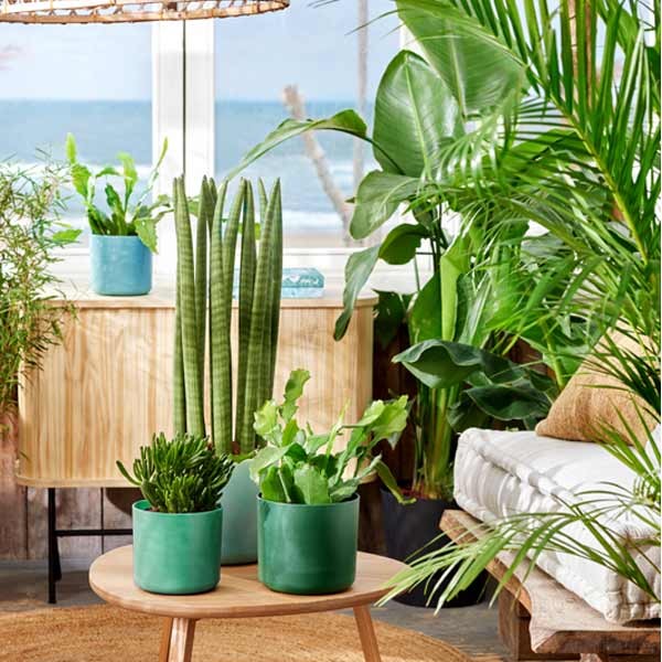 Elho The Ocean Collection Round Pacific Green 14cm Flower Pot 5 Elho The Ocean Collection Round Pacific Green 14cm Flower Pot - Image 5