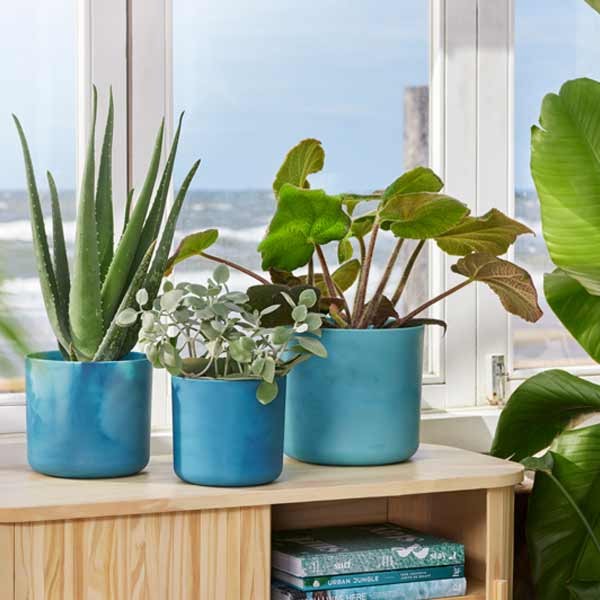 Elho The Ocean Collection Round Atlantic Blue 18cm Flower Pot 5 Elho The Ocean Collection Round Atlantic Blue 18cm Flower Pot - Image 5