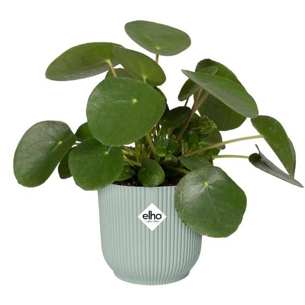 Elho Vibes Fold Round Sorbet Green 18cm Flower Pot 2 Elho Vibes Fold Round Sorbet Green 18cm Flower Pot - Image 2