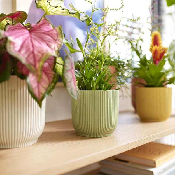 Elho Vibes Fold Round Sorbet Green 18cm Flower Pot 3 Elho Vibes Fold Round Sorbet Green 18cm Flower Pot - Image 3