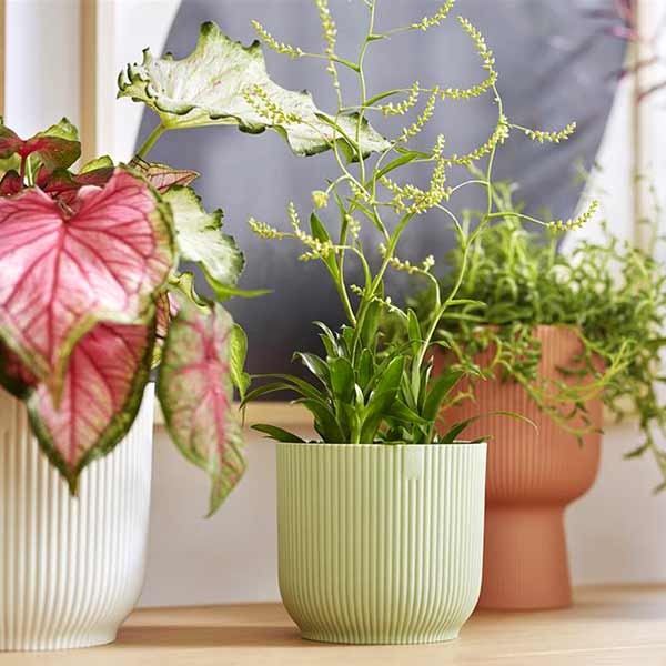 Elho Vibes Fold Round Sorbet Green 18cm Flower Pot 4 Elho Vibes Fold Round Sorbet Green 18cm Flower Pot - Image 4