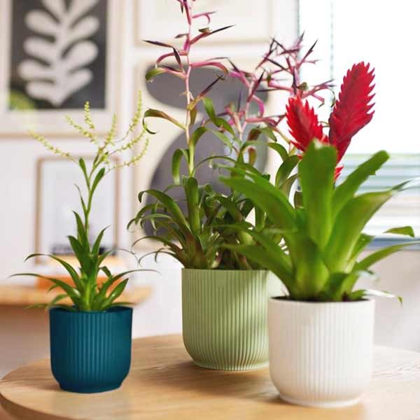 Elho Vibes Fold Round Sorbet Green 18cm Flower Pot 5 Elho Vibes Fold Round Sorbet Green 18cm Flower Pot - Image 5