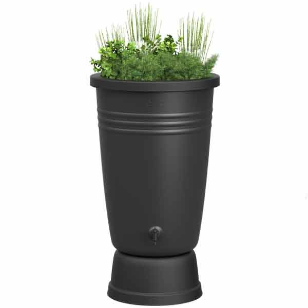 Elho Green Basics Rainbarrel Plus Living Black 110 Litres 2 Elho Green Basics Rainbarrel Plus Living Black 110 Litres - Image 2