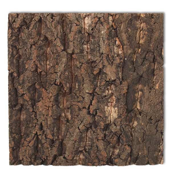 Repti Planet Cork Background To Fit 30 x 30cm Vivarium 1 Repti Planet Cork Background To Fit 30 x 30cm Vivarium