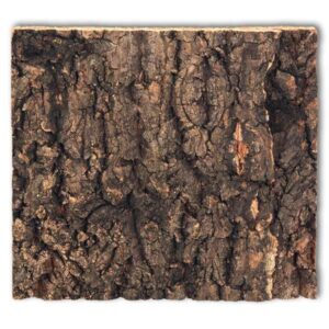 Repti Planet Cork Background To Fit 20 x 20cm Vivarium