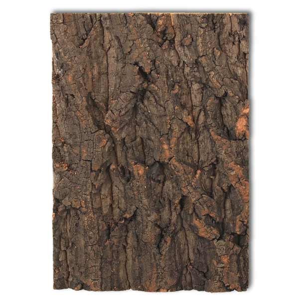 Repti Planet Cork Background To Fit 20 x 30cm Vivarium 1 Repti Planet Cork Background To Fit 20 x 30cm Vivarium