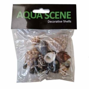 Aquascene Assorted Shells Small 100g