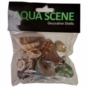 Aquascene Assorted Shells Medium 100g