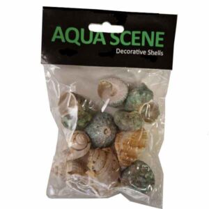 Aquascene Assorted Shells Large 100g