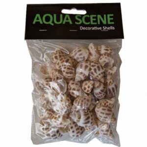 Aquascene Shells Type 7 100g