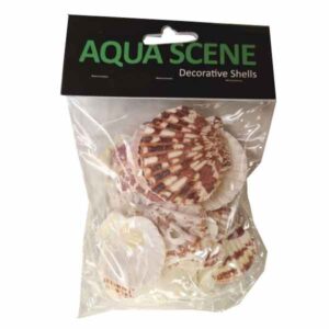 Aquascene Shells Type 9 100g