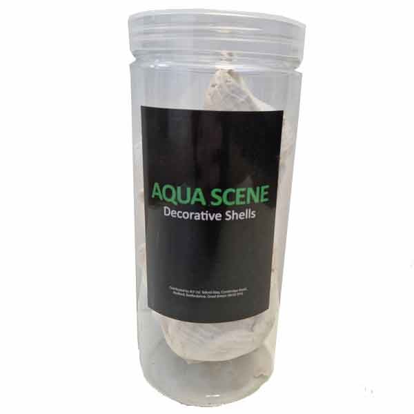 Aquascene Shells Tub 2 350g