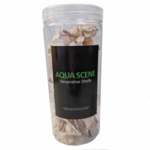 Aqua Scene