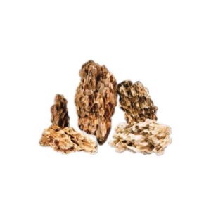 Hugo Kamishi Brown Hole Dragon Rock Single