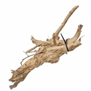 Hugo Kamishi Shinrin Yoku Wood Medium (23-35cm)