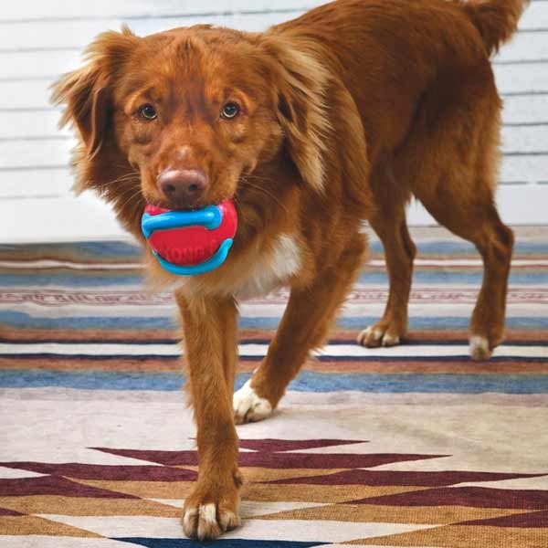 KONG Jaxx Brights Ball Medium Dog Toy 2 KONG Jaxx Brights Ball Medium Dog Toy - Image 2