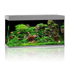 Juwel Rio Grey 350 LED Aquarium
