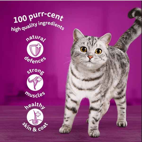 Whiskas Fish Favourites in Jelly Adult 12 x 85g Wet Cat Food 3 Whiskas Fish Favourites in Jelly Adult 12 x 85g Wet Cat Food - Image 3