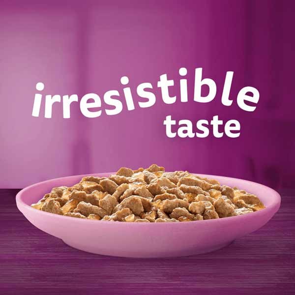 Whiskas Fish Favourites in Jelly Kitten 12 x 85g Wet Cat Food 2 Whiskas Fish Favourites in Jelly Kitten 12 x 85g Wet Cat Food - Image 2