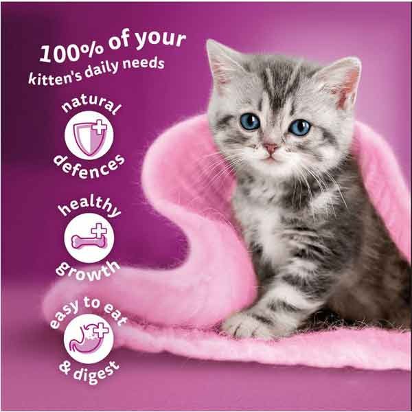Whiskas Fish Favourites in Jelly Kitten 12 x 85g Wet Cat Food 3 Whiskas Fish Favourites in Jelly Kitten 12 x 85g Wet Cat Food - Image 3