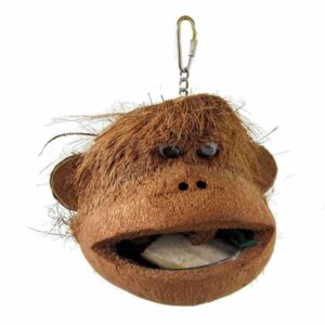 Adventure Bound Java Coco Monkey Parrot Toy