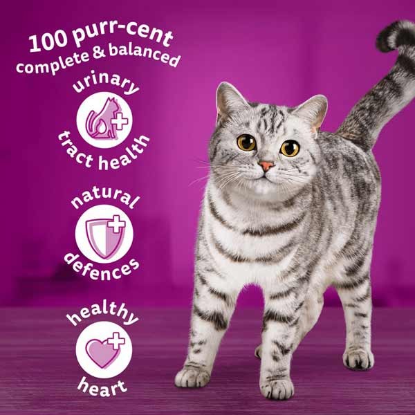 Whiskas Chicken Adult 1.9kg Dry Cat Food 3 Whiskas Chicken Adult 1.9kg Dry Cat Food - Image 3