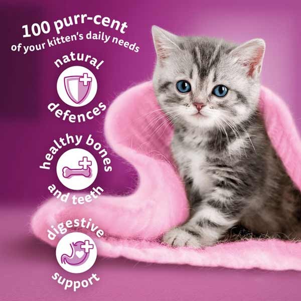 Whiskas Chicken Kitten 1.9kg Dry Cat Food 3 Whiskas Chicken Kitten 1.9kg Dry Cat Food - Image 3