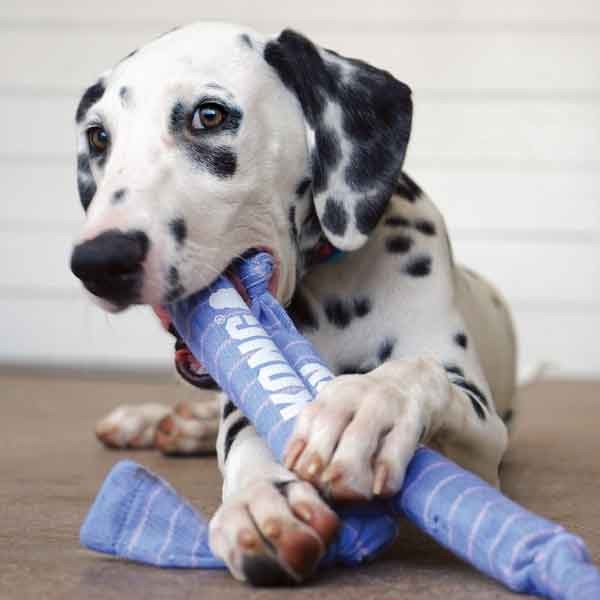 KONG Signature Puppy Crunch Rope Single Dog Toy 2 KONG Signature Puppy Crunch Rope Single Dog Toy - Image 2