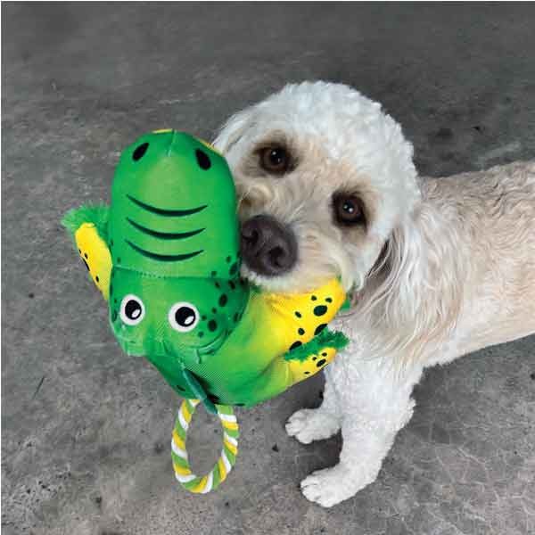 KONG Cozie Tuggs Alligator Medium/Large Dog Toy 2 KONG Cozie Tuggs Alligator Medium/Large Dog Toy - Image 2
