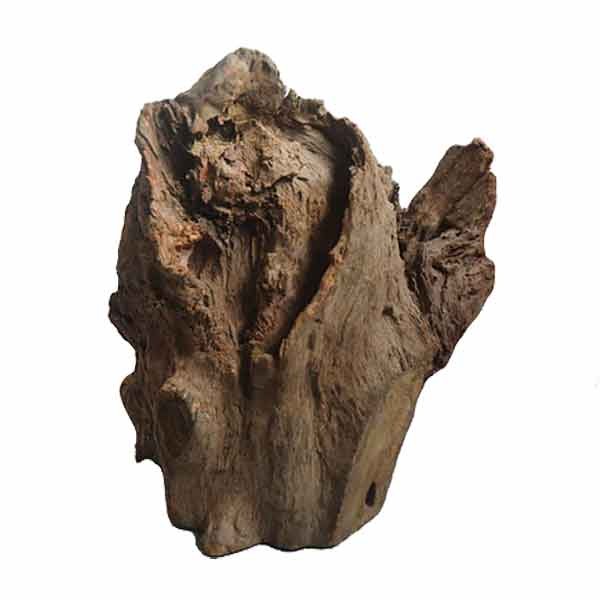 Pettex Corbo Root Stump Medium (17-23cm) 2 Pieces 1 Pettex Corbo Root Stump Medium (17-23cm) 2 Pieces
