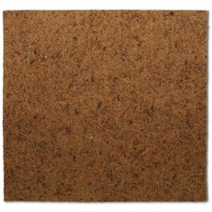 Repti Planet Coco Background 50 x 50cm
