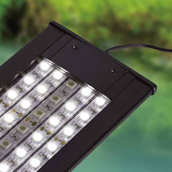 Repti Planet LED Light Lamp 6w 4 Repti Planet LED Light Lamp 6w - Image 4