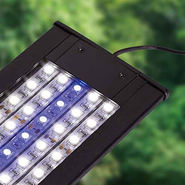 Repti Planet LED Light Lamp 6w 5 Repti Planet LED Light Lamp 6w - Image 5