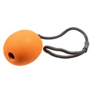 Tuffs The Orange Rubber Dog Toy
