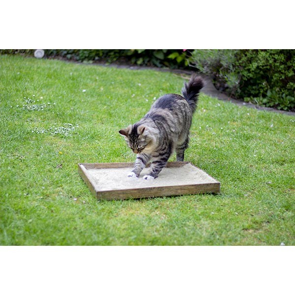 Rosewood Naturals for Cats Back to Instinct Active Carpet 2 Rosewood Naturals for Cats Back to Instinct Active Carpet - Image 2