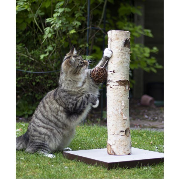 Rosewood Naturals for Cat Back to Instinct Nature Active-Tree 2 Rosewood Naturals for Cat Back to Instinct Nature Active-Tree - Image 2