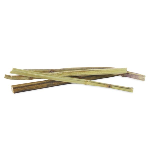 Rosewood Naturals Catnip Sticks Cat Toy 2 Rosewood Naturals Catnip Sticks Cat Toy - Image 2