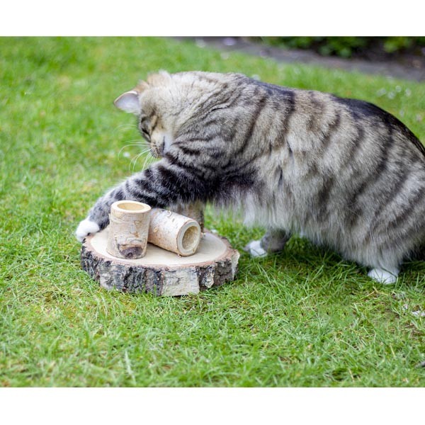 Rosewood Naturals Back to Instinct Fun-Park Cat Toy 2 Rosewood Naturals Back to Instinct Fun-Park Cat Toy - Image 2