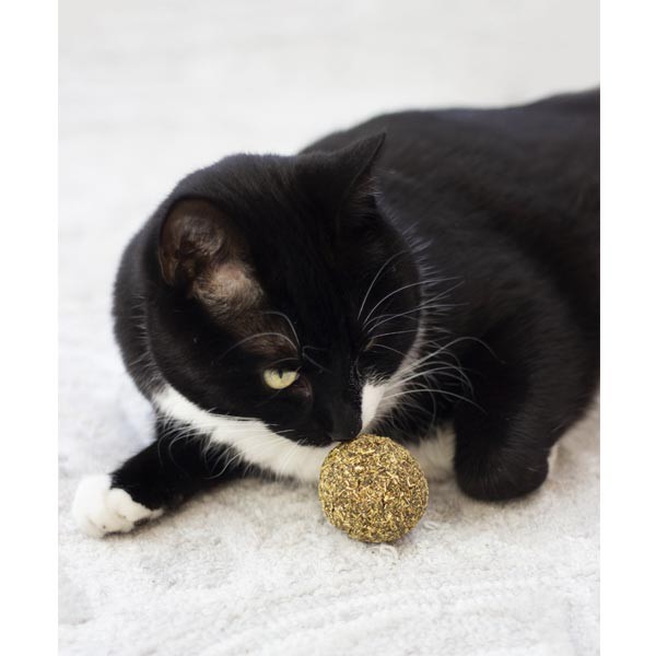 Rosewood Naturals Mini Catnip Balls Cat Toy 3 Rosewood Naturals Mini Catnip Balls Cat Toy - Image 3