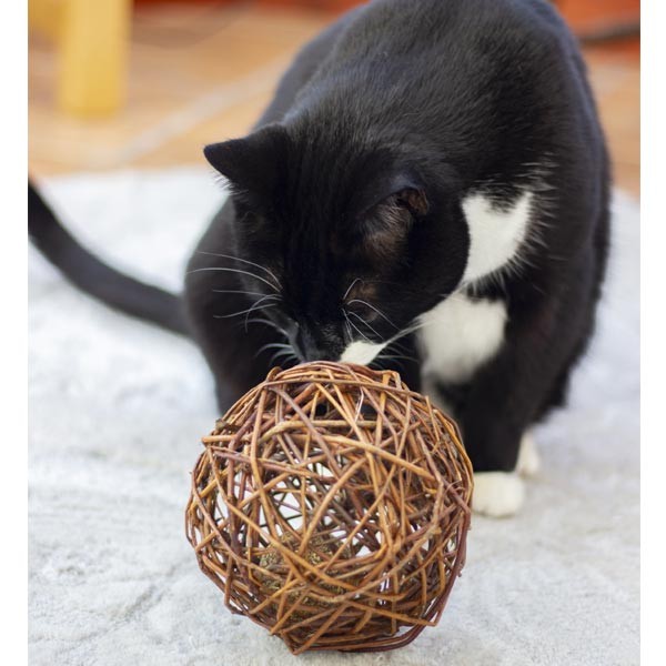 Rosewood Naturals Willow & Catnip Ball Single Cat Toy 2 Rosewood Naturals Willow & Catnip Ball Single Cat Toy - Image 2