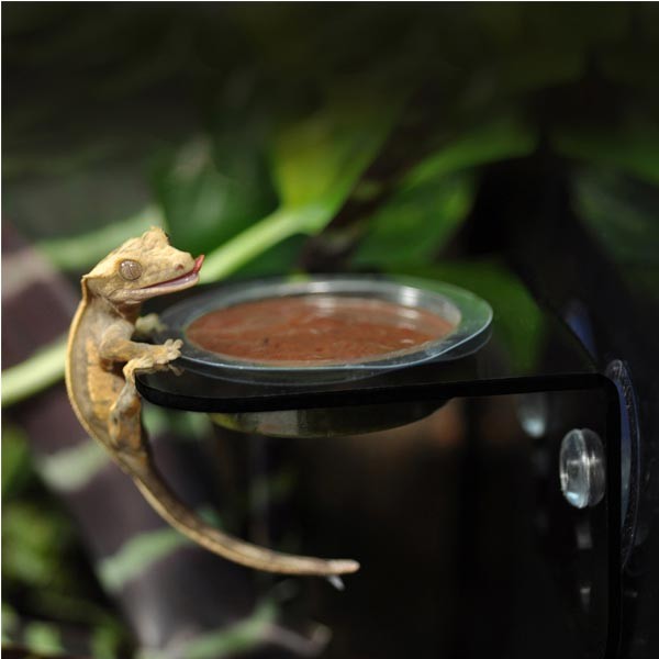 Habistat Crested Gecko Diet Strawberry 40g 3 Habistat Crested Gecko Diet Strawberry 40g - Image 3