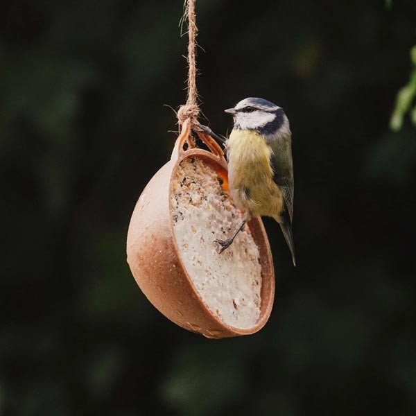 Peckish Natural Balance Coco-Not Wild Bird Feeder 4 Pack 3 Peckish Natural Balance Coco-Not Wild Bird Feeder 4 Pack - Image 3