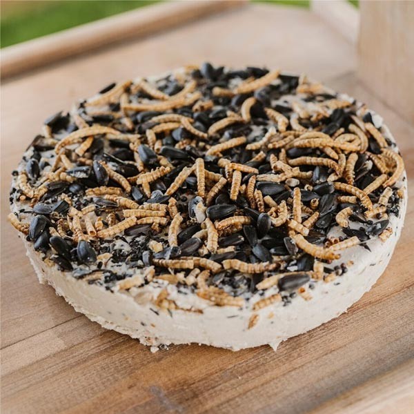 Gardman Wild Bird Care Seed & Mealworm Suet Cookie 500g 2 Gardman Wild Bird Care Seed & Mealworm Suet Cookie 500g - Image 2