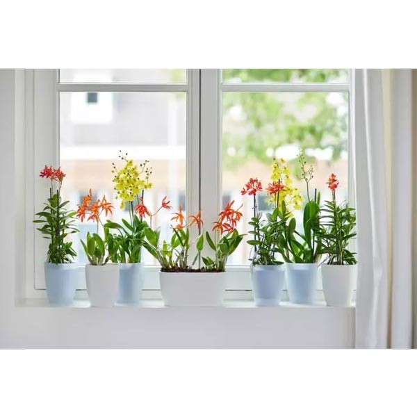 Elho Brussels Orchid Duo White 25cm Flower Pot 3 Elho Brussels Orchid Duo White 25cm Flower Pot - Image 3