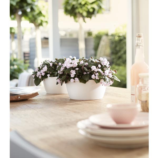 Elho Brussels Bowl White 23cm Flower Pot 3 Elho Brussels Bowl White 23cm Flower Pot - Image 3