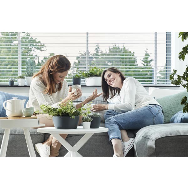 Elho Brussels Bowl Anthracite 23cm Flower Pot 3 Elho Brussels Bowl Anthracite 23cm Flower Pot - Image 3